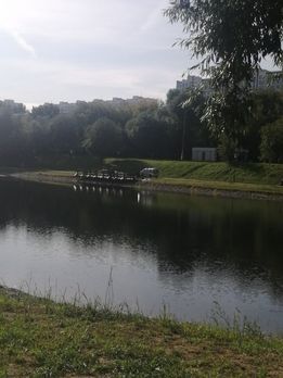 На изображении может находиться: дерево, небо, трава, на улице, природа и вода